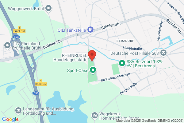 Rheinrudel