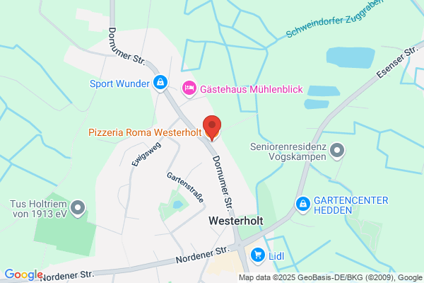 Restaurant- Pizzeria - Europa