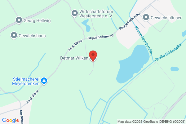 Detmar Wilken