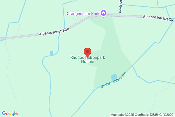 Hobbie D. G. Rhododendronkulturen