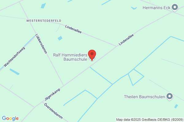 Ralf Hammiediers