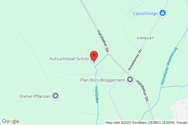 Schroer A. M. Klangtraube