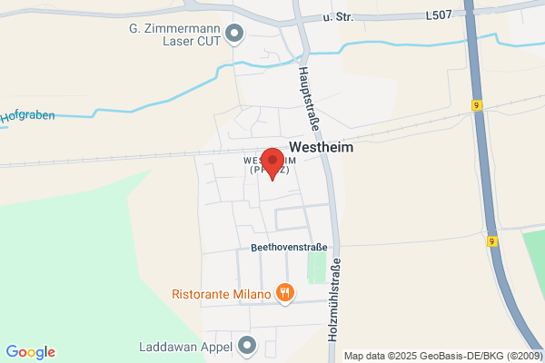 Ortsgemeinde Ortsbürgermeister Lingenfeld