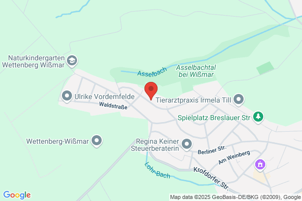 Webdesigner Giessen