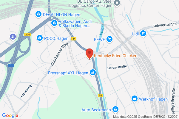 Kentucky Fried Chicken