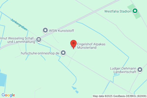 Engelshof Alpakas Münsterland