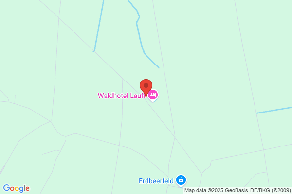 Waldhotel Lauff