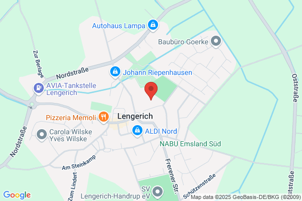 Evangelisch reformiert, Pfarramt