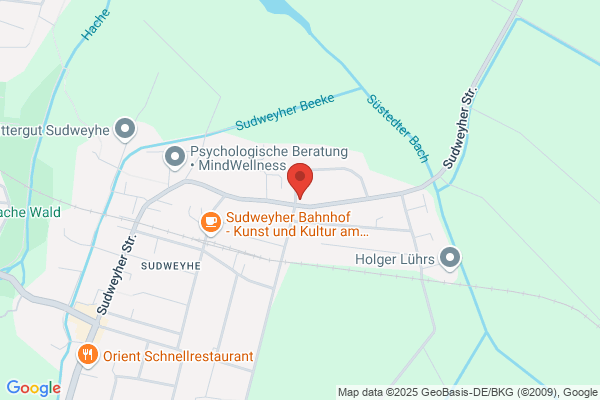 Zentrum für Systemische