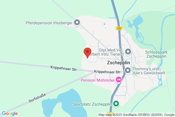 Weihnachtsfeiern in Halle / Leipzig