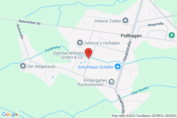 Dettmer Wilhelm GmbH & Co. KG