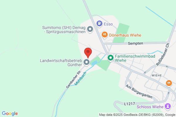 Grundschulen