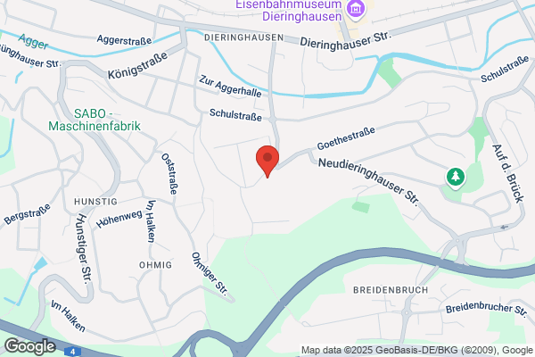 Die wilden Knöpfe