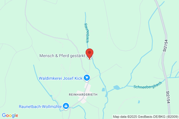 Brüntrup Monika Pferdehof Heilpädagogisches Begleiten mit Pferden