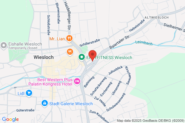 Wieslocher-Autopflege