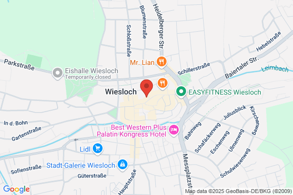 Duden Institut für Lerntherapie Wiesloch
