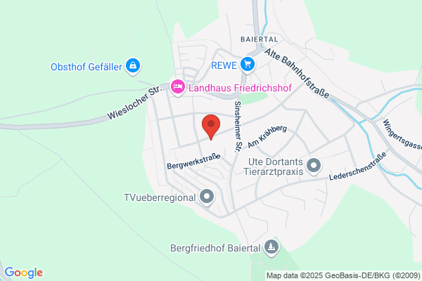 Elektro Scheich