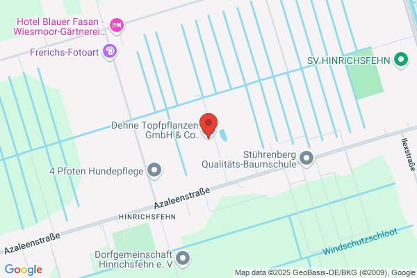 Dehne Topfplanzen GmbH & Co. KG