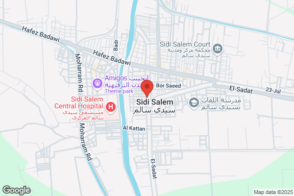 S.-I. Salem
