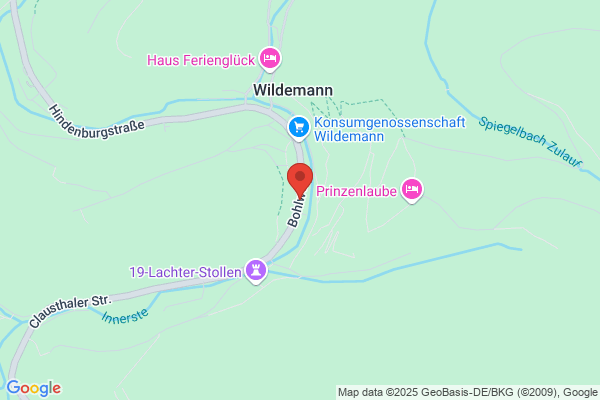 Wildemann