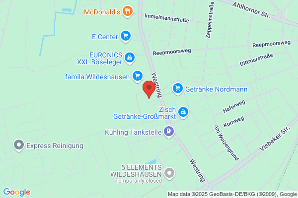 Günther Brandt