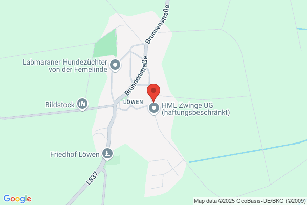 Umzugslogistik & Consulting