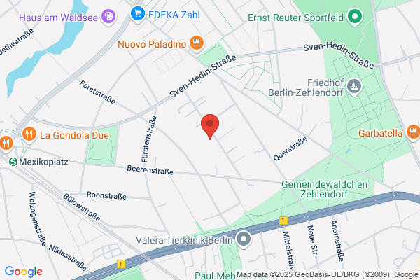 Immobilien Stennes