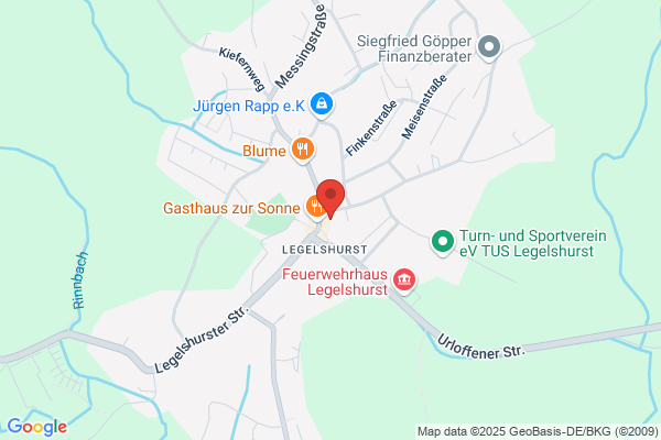 Dartfreunde Hanauerland e.V.
