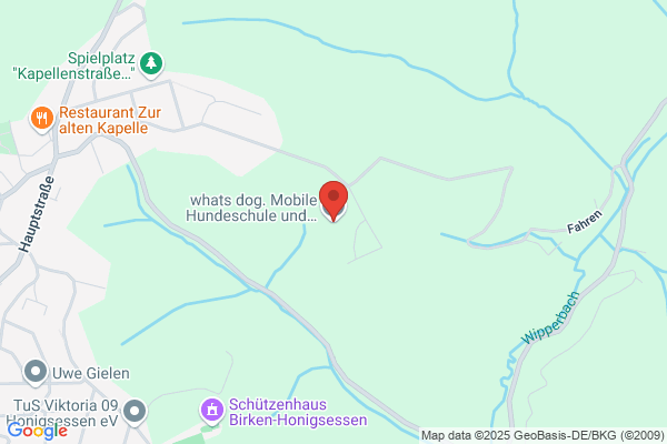 Die Mobile Hundeschule dogX