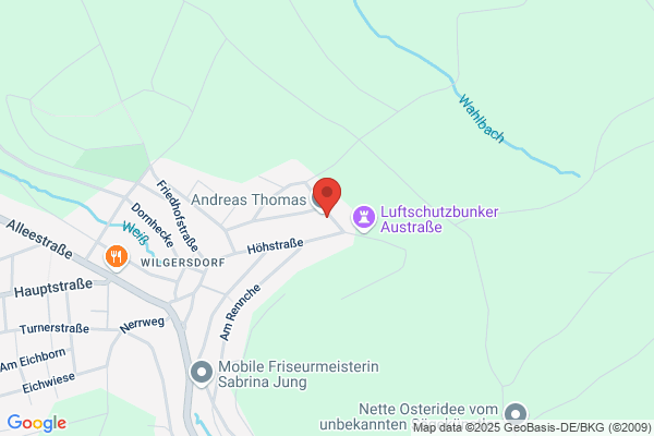 Günter Thomas