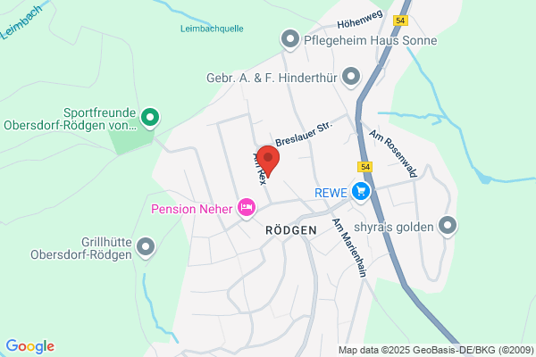 Galerie Am Rex Inhaber Röding
