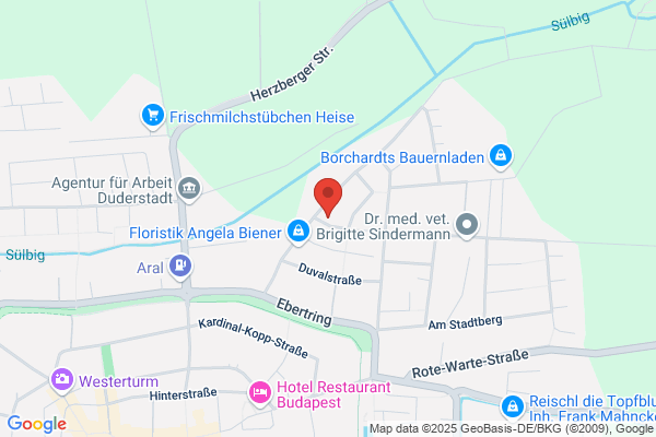 Baudienstleistungen rund um Haus und Garten
