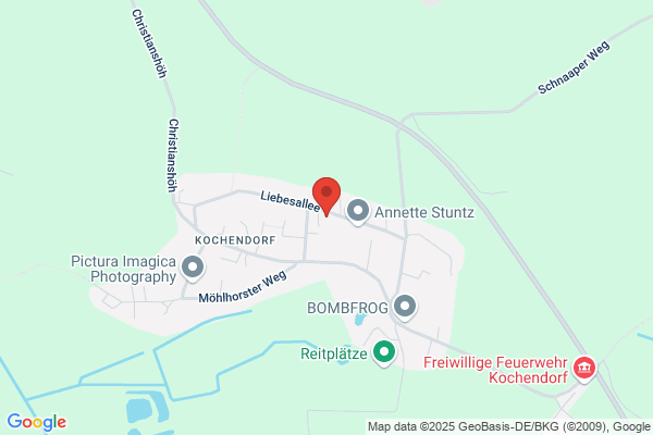 Onlinenetzwerk