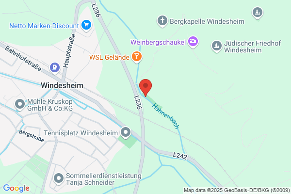 Schützenverein Windesheim