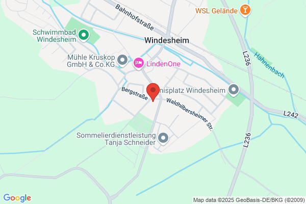 Windesheimer Brauhaus GmbH