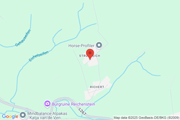 Puderbach