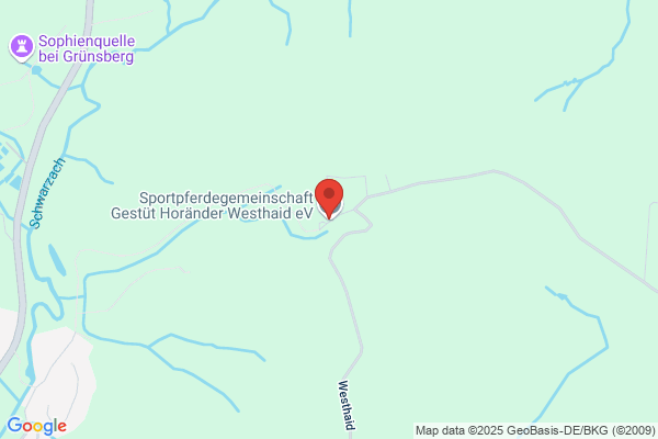 Gestüt Horänder KG