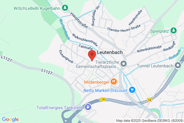 Specht, Otto