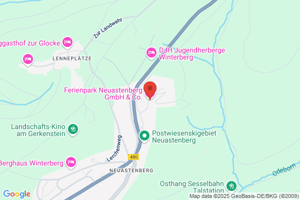 Dorint Resort Winterberg-Neuastenberg