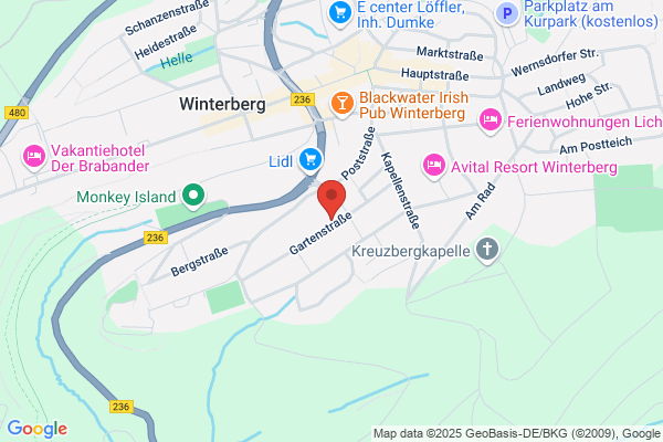 Winterberg Appartement 21018