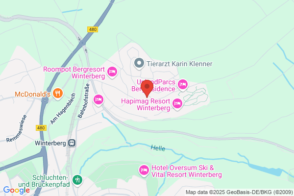 Winterberg Appartement 21038