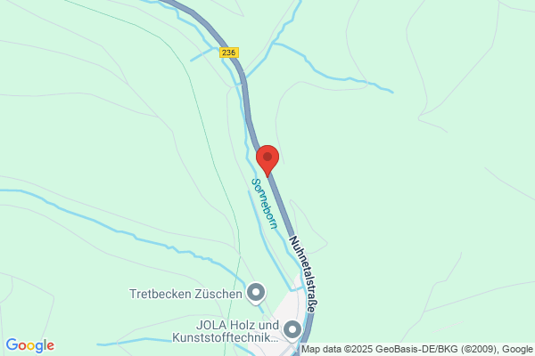 Züschenwald
