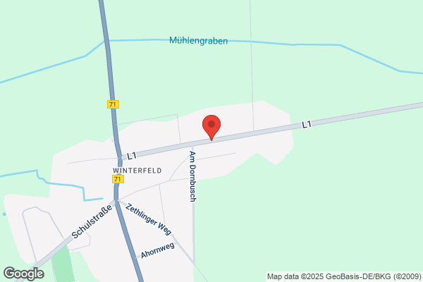 Ninett Schneider