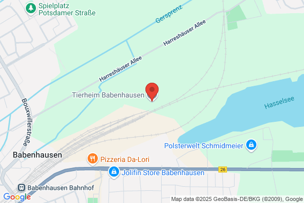 Tierschutzverein Babenhausen Meldestelle