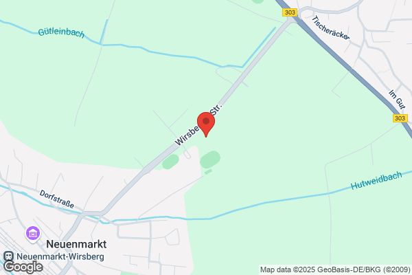 Hundepower auf 4 Pfoten