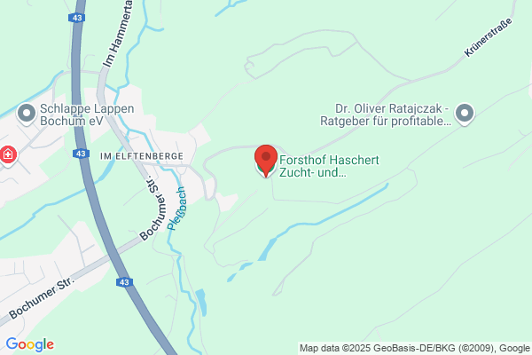Schröder.Hebestreit