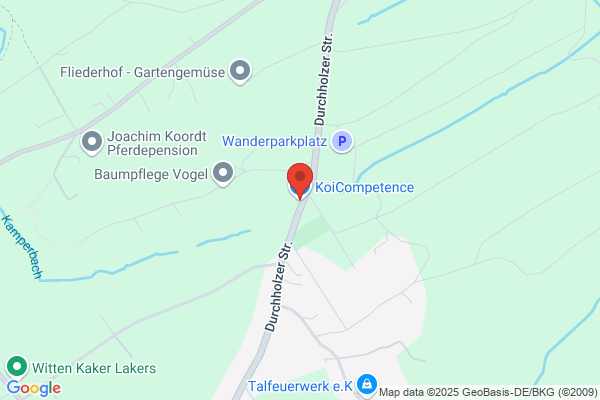 KoiCompetence