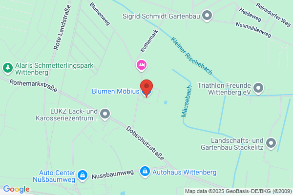 Möbius Blumen GmbH