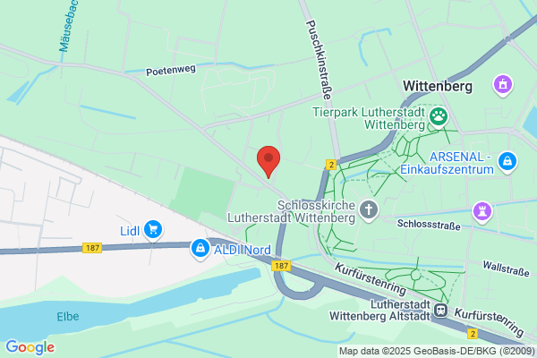 wittenberg-net GmbH