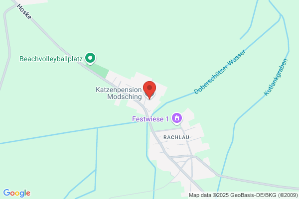 Katzenpension Modsching